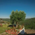 Casas Da Tia Alice - Encantadoras Em * Mafra