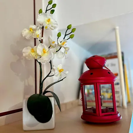 Casas Da Tia Alice - Encantadoras Em Casa de Férias