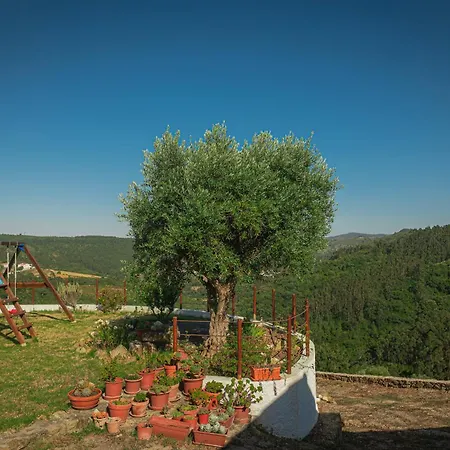 Casas Da Tia Alice - Encantadoras Em * مافرا