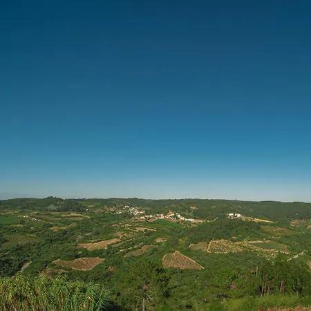 Casas Da Tia Alice - Encantadoras Em بيت للعطل مافرا
