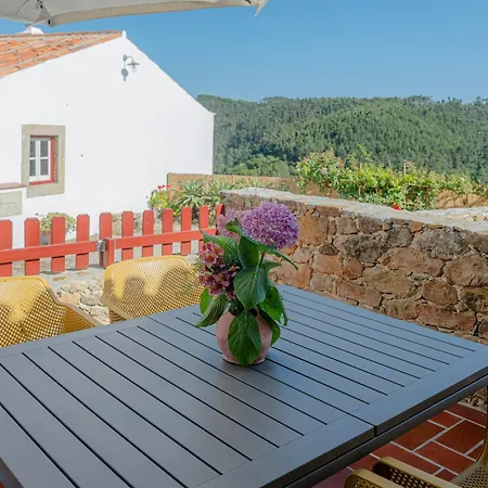 Casas Da Tia Alice - Encantadoras Em