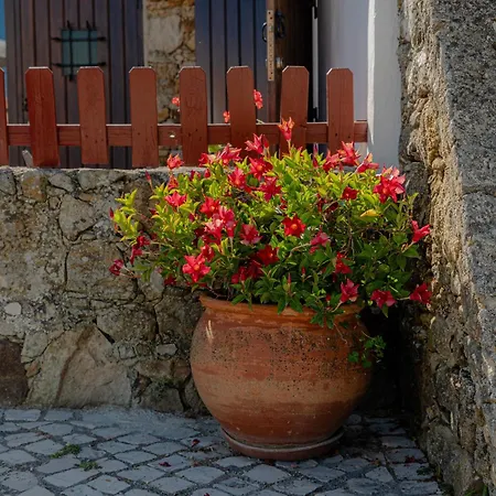 Casas Da Tia Alice - Encantadoras Em *